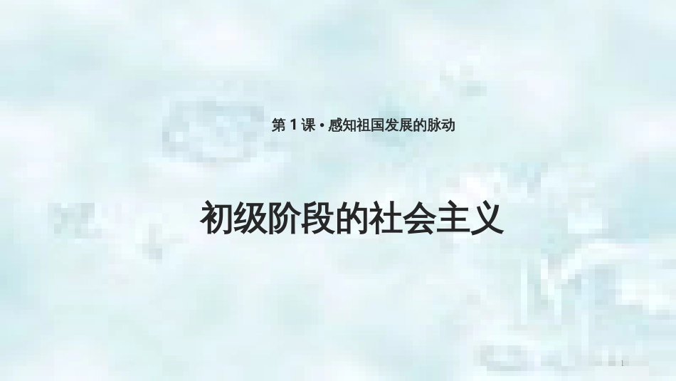九年级道德与法治上册 第一单元 认识国情 爱我中华 1.1 感知祖国发展的脉动 第2框初级阶段的社会主义优质课件 粤教版_第1页