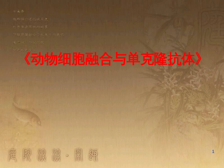 高中生物 专题2 细胞工程 2.2 动物细胞工程 动物细胞融合与单克隆抗体（第2课时）课件 新人教版选修3 (1)_第1页