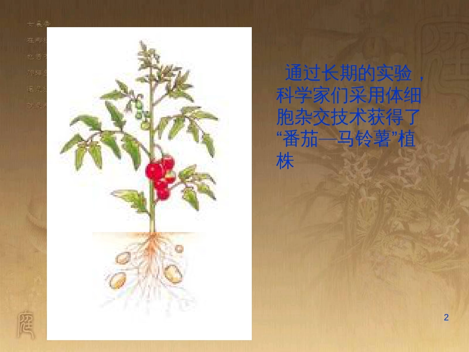 高中生物 专题2 细胞工程 2.2 动物细胞工程 动物细胞融合与单克隆抗体（第2课时）课件 新人教版选修3 (1)_第2页
