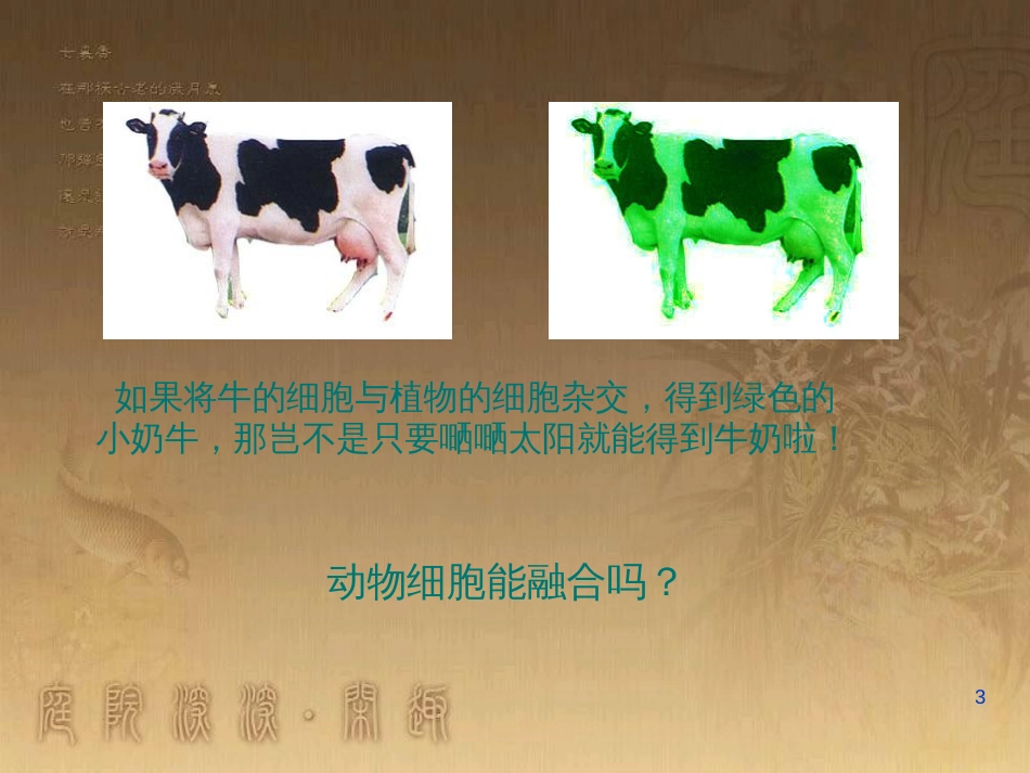 高中生物 专题2 细胞工程 2.2 动物细胞工程 动物细胞融合与单克隆抗体（第2课时）课件 新人教版选修3 (1)_第3页