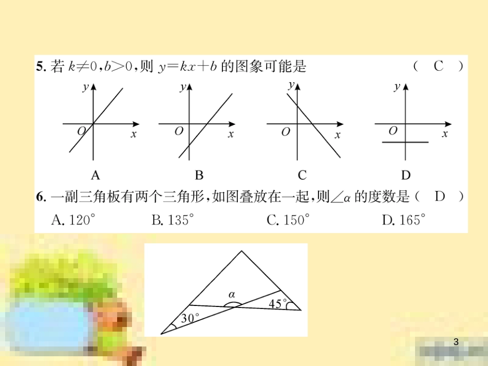 九年级英语下册 Unit 10 Get Ready for the Future语法精练及易错归纳作业课件 （新版）冀教版 (44)_第3页