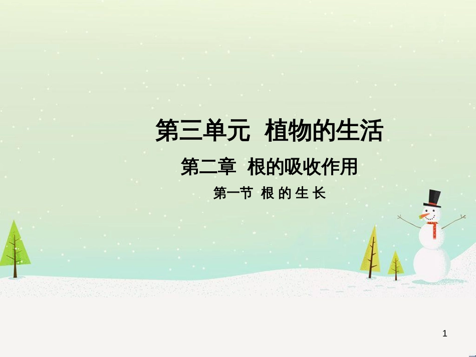 高中政治 第1课 生活在人民当家作主的国家 第2框 政治权利与义务参与政治生活的基础课件 新人教版必修2 (6)_第1页