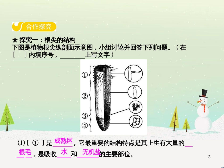 高中政治 第1课 生活在人民当家作主的国家 第2框 政治权利与义务参与政治生活的基础课件 新人教版必修2 (6)_第3页