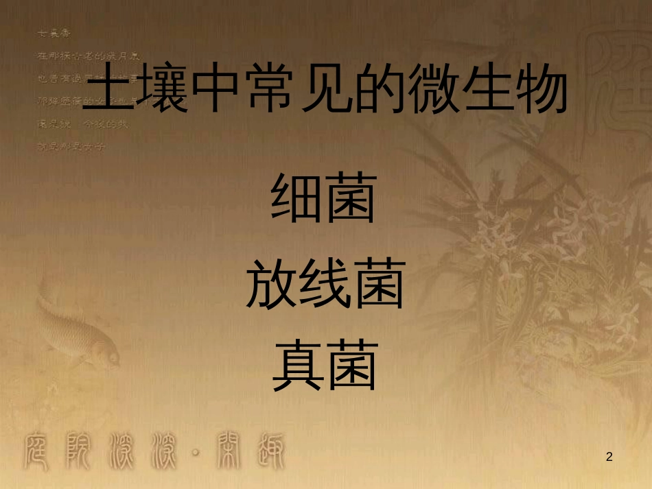 七年级生物下册 第五单元 第13章 土壤的生物 第2节 土壤里的微生物课件1 （新版）苏科版_第2页