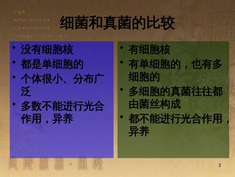 七年级生物下册 第五单元 第13章 土壤的生物 第2节 土壤里的微生物课件1 （新版）苏科版_第3页
