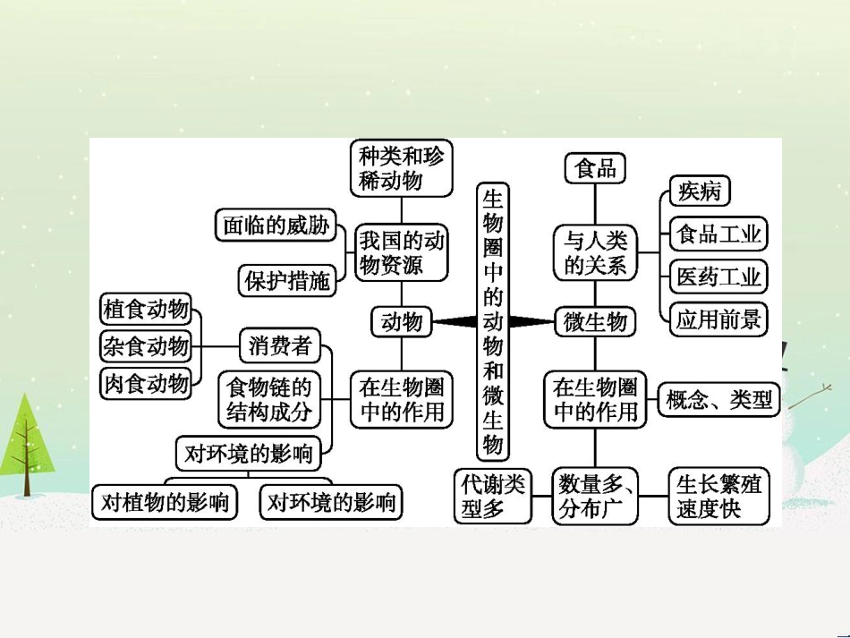 高中政治 第1课 生活在人民当家作主的国家 第2框 政治权利与义务参与政治生活的基础课件 新人教版必修2 (46)_第2页