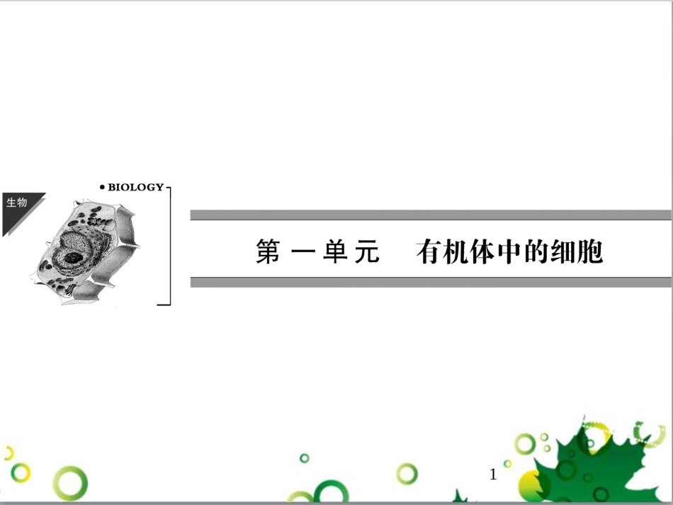 九年级历史上册 总复习课件 北师大版 (38)_第1页