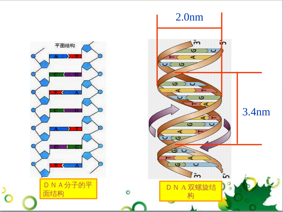 高中生物 专题5 生态工程 阶段复习课课件 新人教版选修3 (174)_第1页