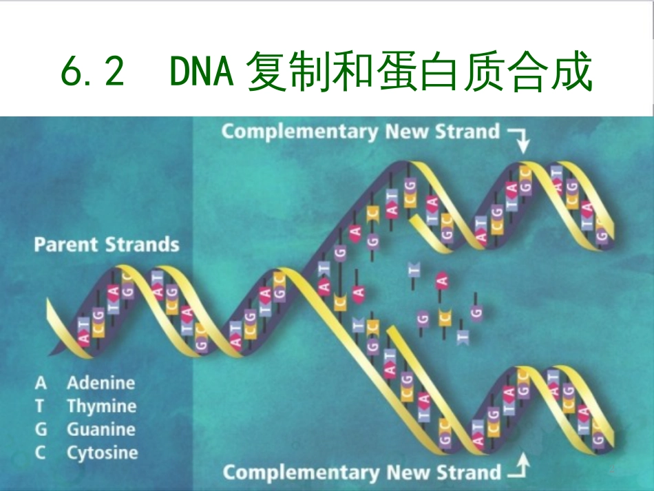 高中生物 专题5 生态工程 阶段复习课课件 新人教版选修3 (174)_第2页