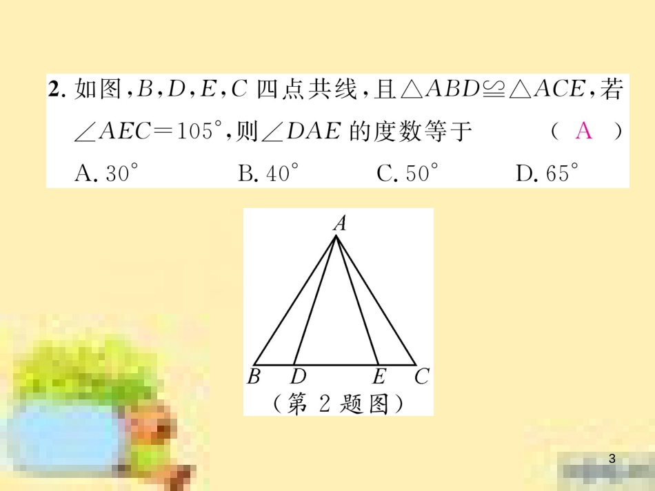 九年级英语下册 Unit 10 Get Ready for the Future语法精练及易错归纳作业课件 （新版）冀教版 (45)_第3页