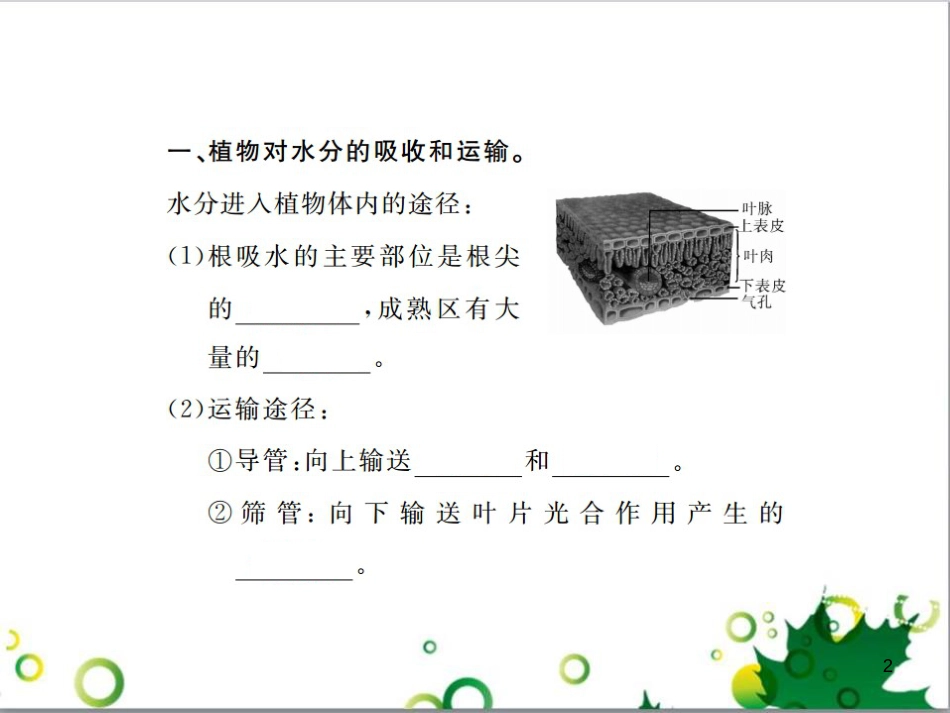 三年级语文上册 第三单元期末总复习课件 新人教版 (1307)_第2页