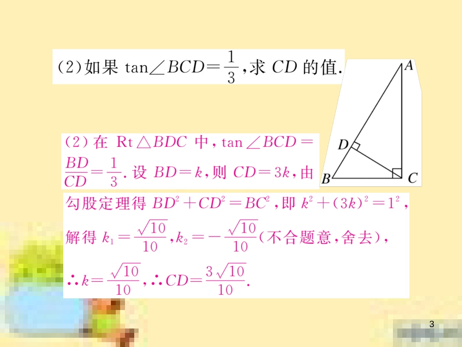 九年级英语下册 Unit 10 Get Ready for the Future语法精练及易错归纳作业课件 （新版）冀教版 (269)_第3页