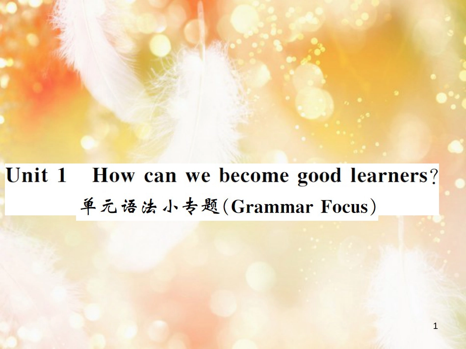 九年级英语全册 Unit 1 How can we become good learners语法小专题习题课件 （新版）人教新目标版_第1页