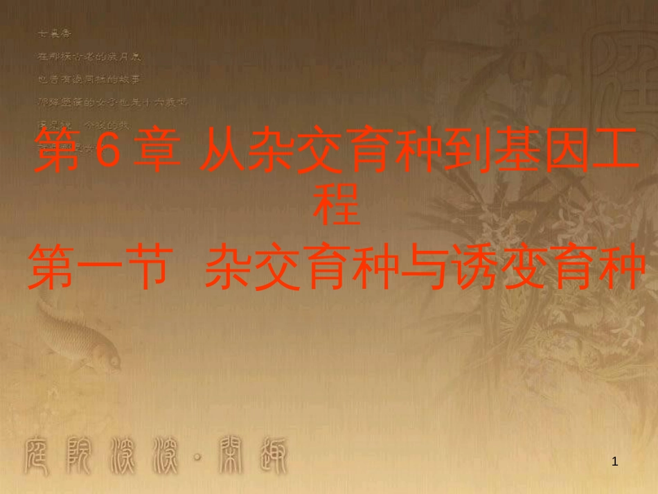 高中生物 专题2 细胞工程 2.2 动物细胞工程 动物细胞融合与单克隆抗体（第2课时）课件 新人教版选修3 (2)_第1页