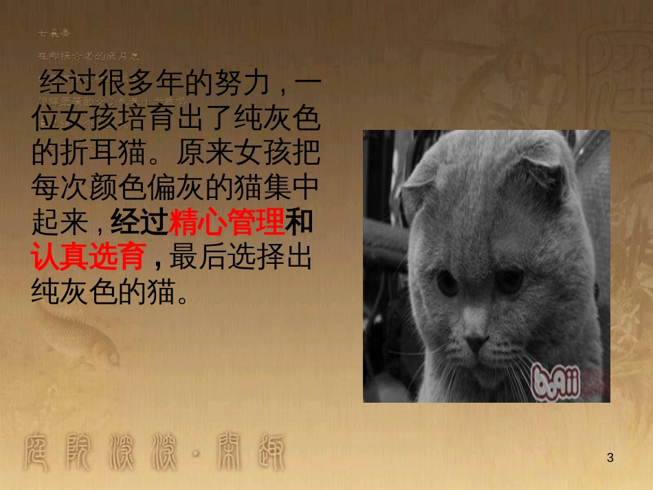 高中生物 专题2 细胞工程 2.2 动物细胞工程 动物细胞融合与单克隆抗体（第2课时）课件 新人教版选修3 (2)_第3页