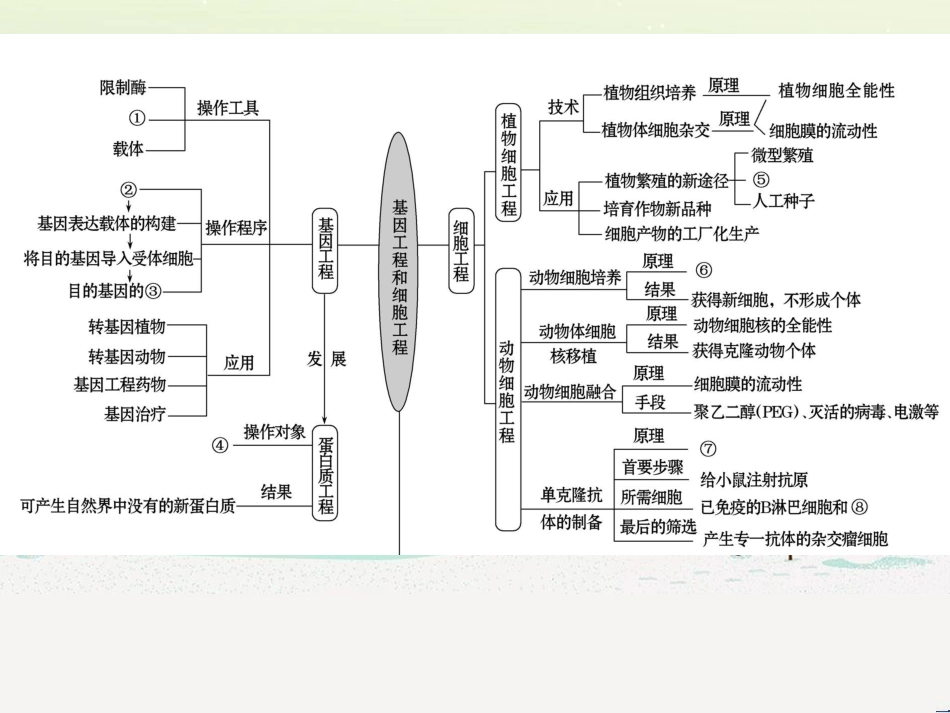 高考地理二轮复习 考前三个月 第二部分 专题二 解题技能提升练 11 基础知识调用专练——破解“基础知识用不上”困惑课件 (445)_第2页