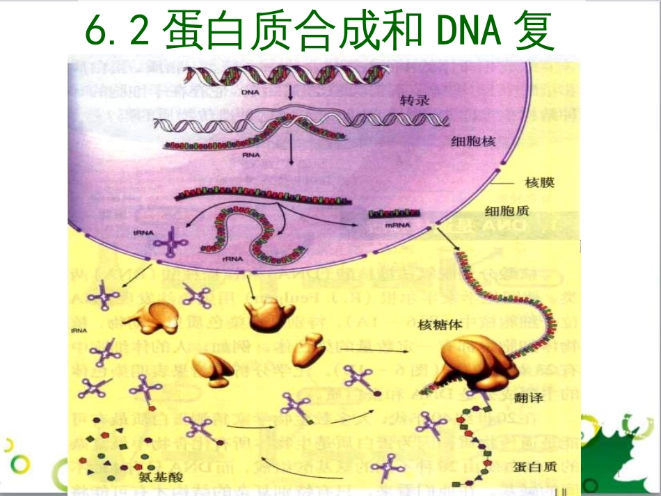 高中生物 专题5 生态工程 阶段复习课课件 新人教版选修3 (175)_第1页