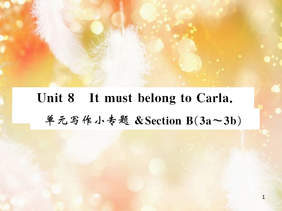 九年级英语全册 Unit 8 It must belong to Carla写作小专题习题课件 （新版）人教新目标版_第1页