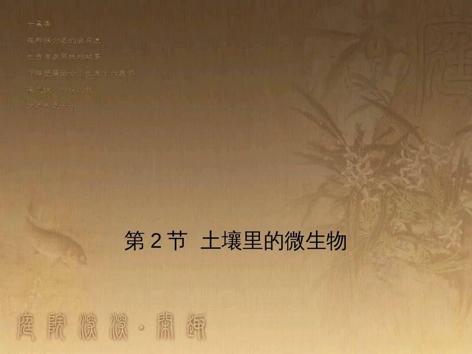 七年级生物下册 第五单元 第13章 土壤的生物 第2节 土壤里的微生物讲授课件 （新版）苏科版_第1页