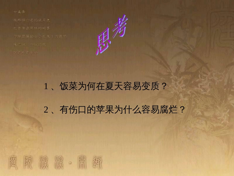 七年级生物下册 第五单元 第13章 土壤的生物 第2节 土壤里的微生物讲授课件 （新版）苏科版_第2页