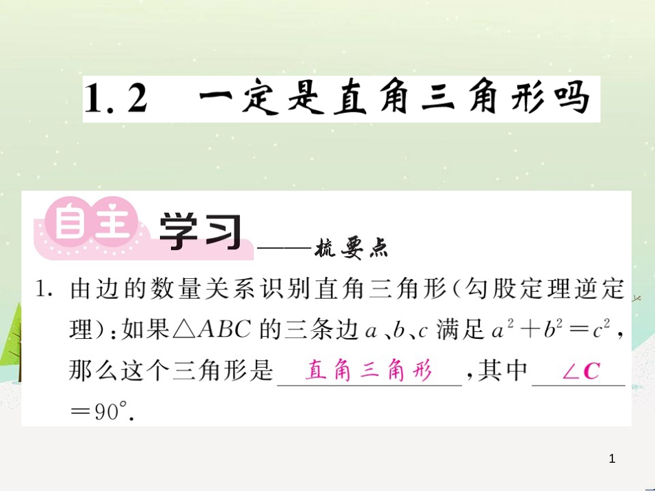 高中政治 第1课 生活在人民当家作主的国家 第2框 政治权利与义务参与政治生活的基础课件 新人教版必修2 (97)_第1页