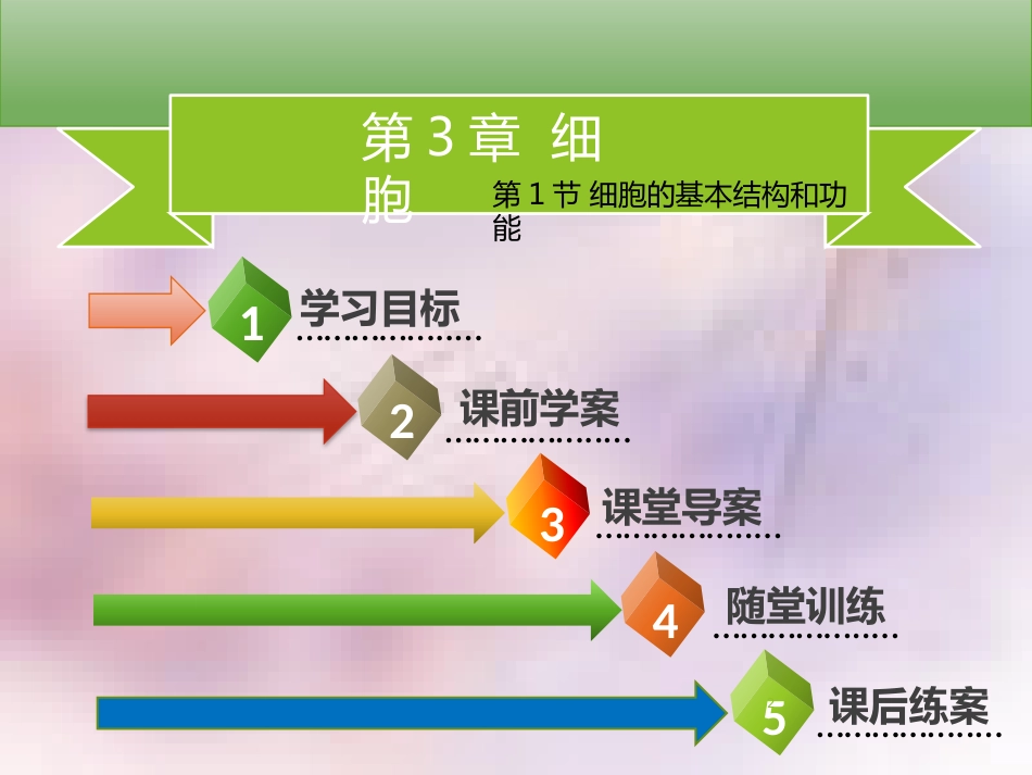 七年级生物上册 第二单元 第3章 第1节 细胞的基本结构和功能（第1课时 细胞的基本结构和功能）习题课件 （新版）北师大版_第2页