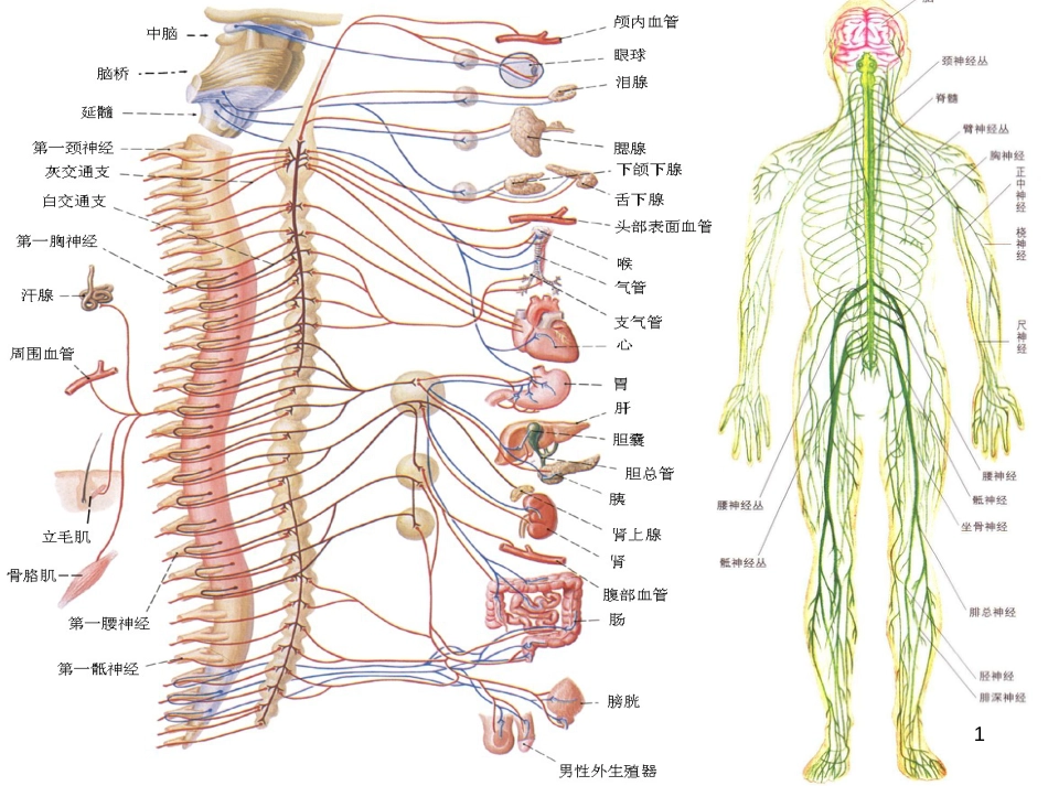 高中生物 专题5 生态工程 阶段复习课课件 新人教版选修3 (197)_第1页