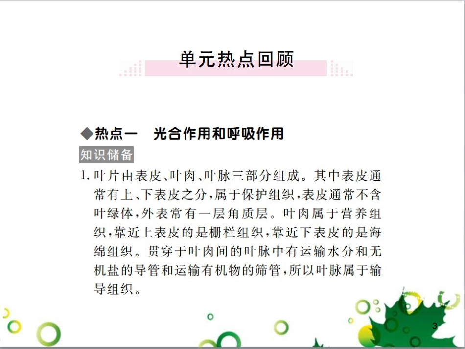 三年级语文上册 第三单元期末总复习课件 新人教版 (1260)_第3页