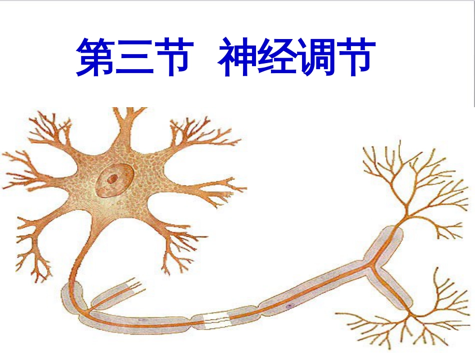 高中生物 专题5 生态工程 阶段复习课课件 新人教版选修3 (153)_第1页