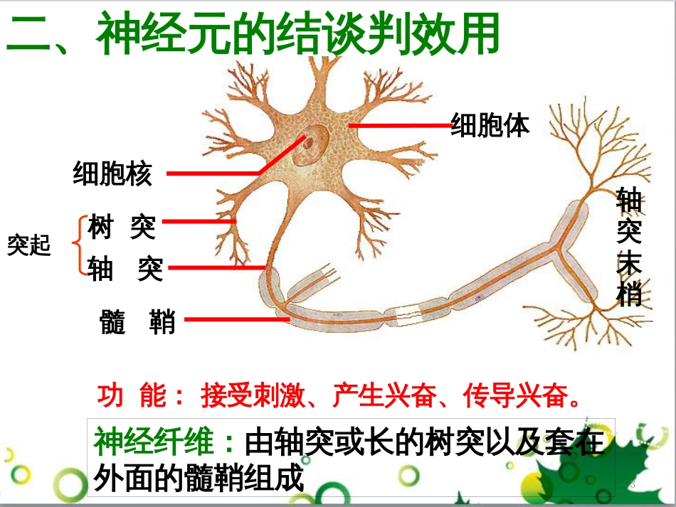 高中生物 专题5 生态工程 阶段复习课课件 新人教版选修3 (153)_第3页