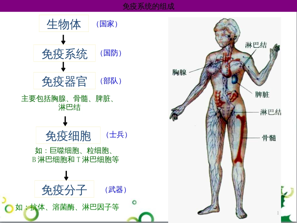 高中生物 专题5 生态工程 阶段复习课课件 新人教版选修3 (163)_第1页