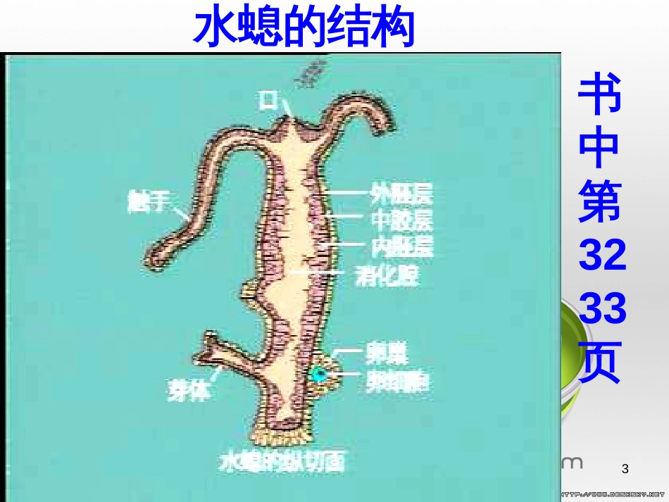 一年级美术下册 第20课《汉字中的象形文字》课件2 人教版 (9)_第3页