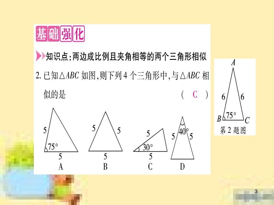 九年级英语下册 Unit 10 Get Ready for the Future语法精练及易错归纳作业课件 （新版）冀教版 (166)_第3页