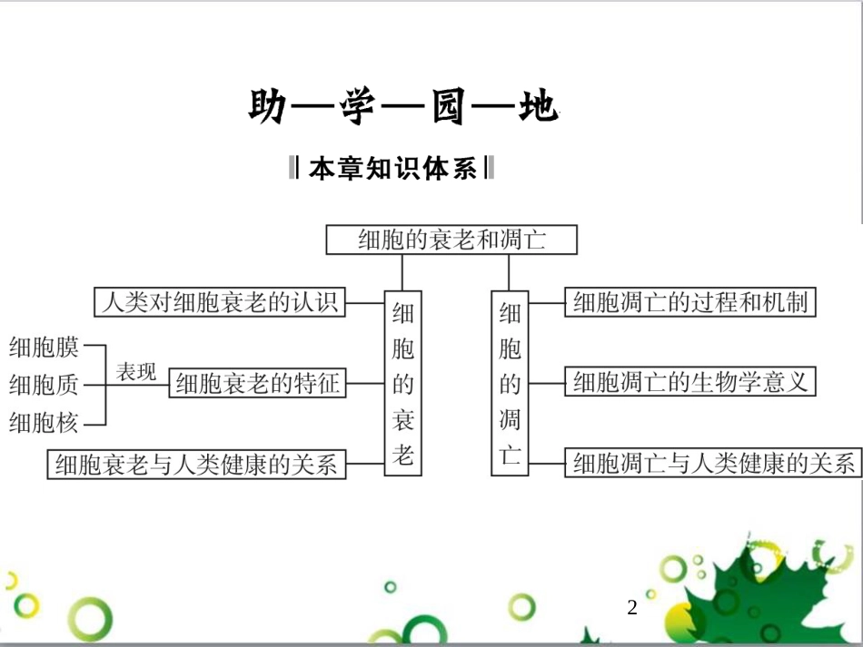 九年级历史上册 总复习课件 北师大版 (28)_第2页