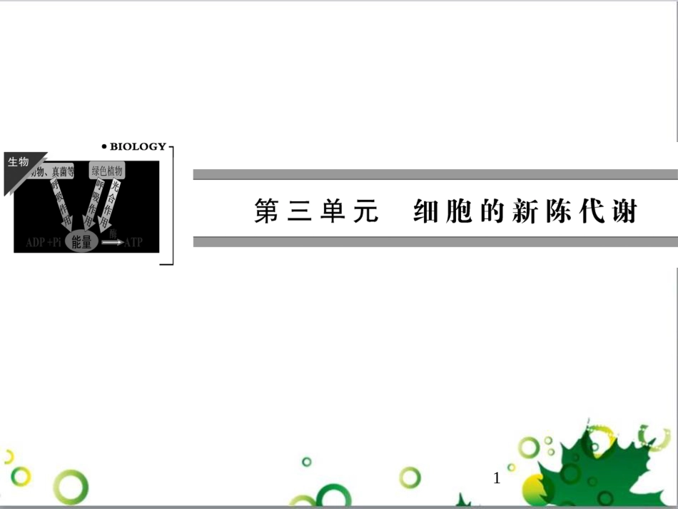 九年级历史上册 总复习课件 北师大版 (25)_第1页