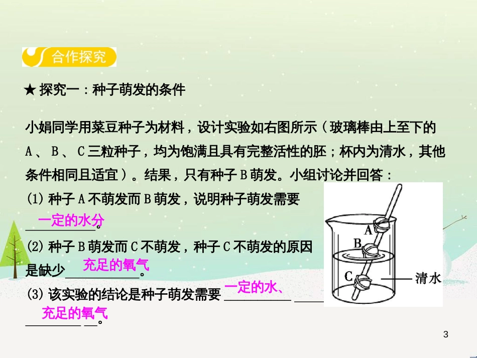 高中政治 第1课 生活在人民当家作主的国家 第2框 政治权利与义务参与政治生活的基础课件 新人教版必修2 (4)_第3页