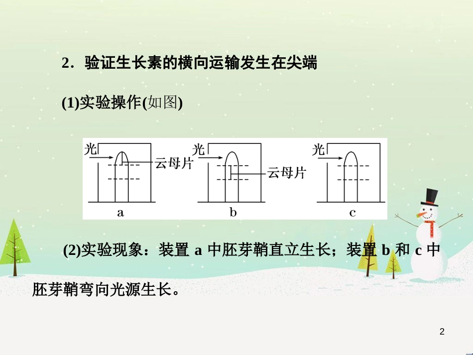 高考化学一轮复习 第1章 化学计量在实验中的应用 第1讲 物质的量 气体摩尔体积课件 新人教版 (3)_第2页