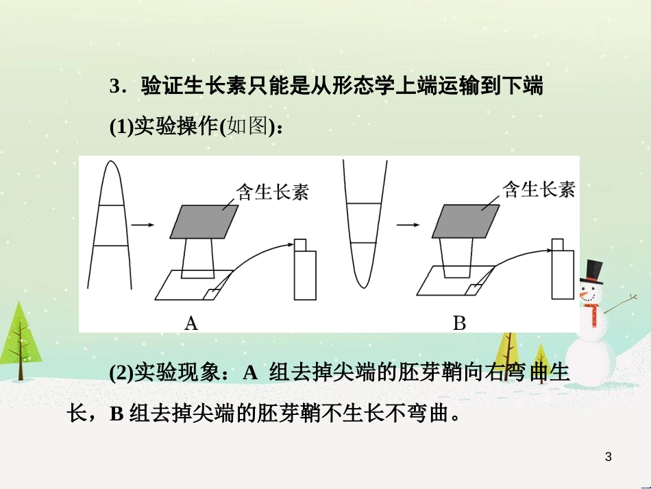 高考化学一轮复习 第1章 化学计量在实验中的应用 第1讲 物质的量 气体摩尔体积课件 新人教版 (3)_第3页