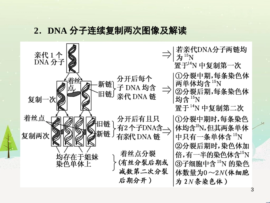 高考化学一轮复习 第1章 化学计量在实验中的应用 第1讲 物质的量 气体摩尔体积课件 新人教版 (13)_第3页