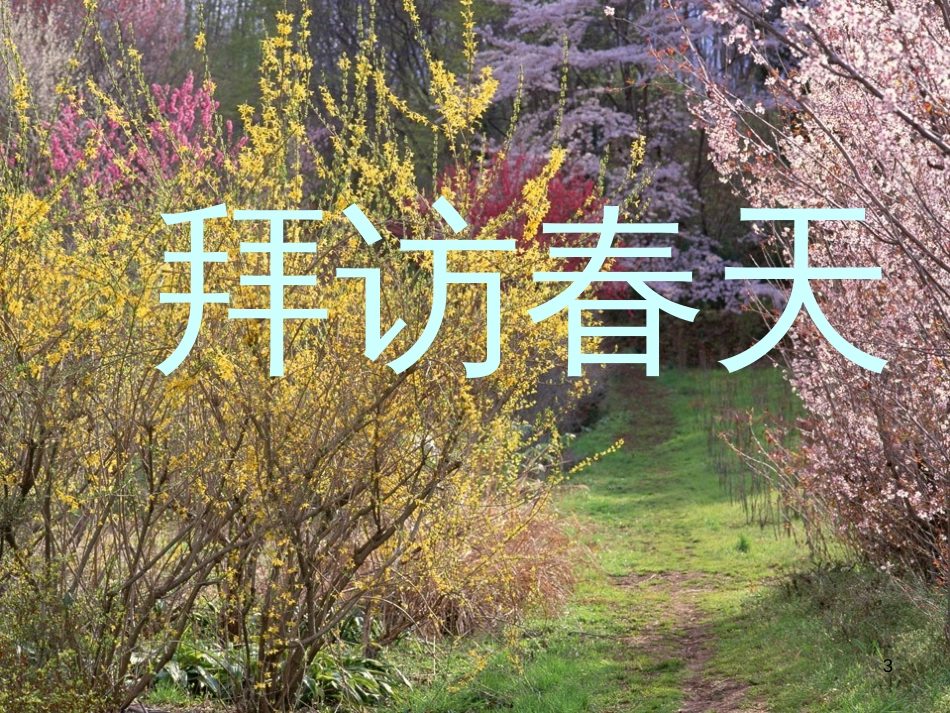 一年级美术下册 第20课《汉字中的象形文字》课件2 人教版 (1090)_第3页