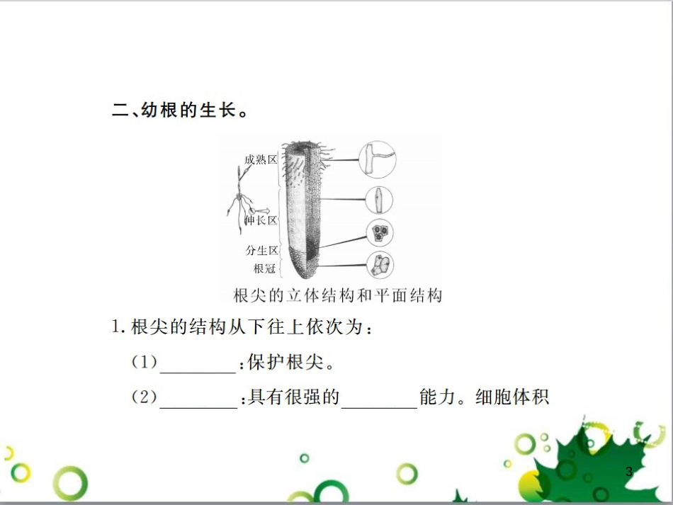 三年级语文上册 第三单元期末总复习课件 新人教版 (1306)_第3页