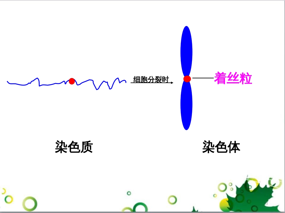 高中生物 专题5 生态工程 阶段复习课课件 新人教版选修3 (186)_第3页