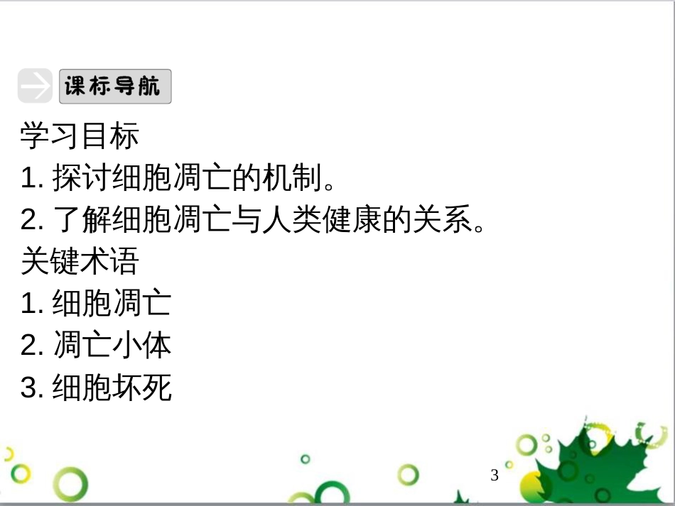 九年级历史上册 总复习课件 北师大版 (27)_第3页