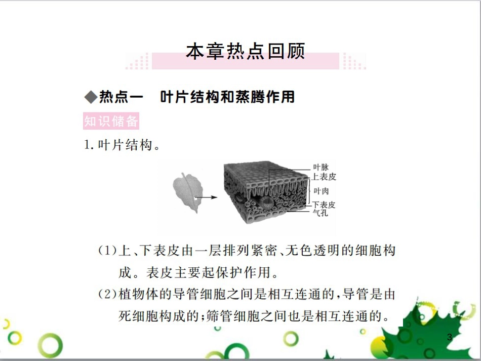 三年级语文上册 第三单元期末总复习课件 新人教版 (1272)_第3页