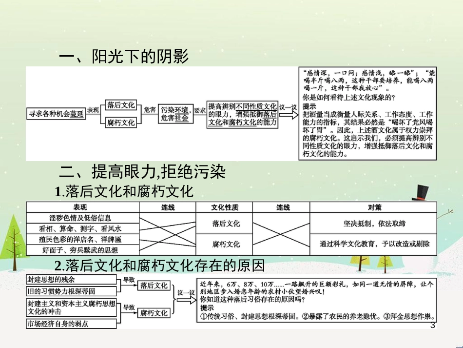 高中政治 第1课 生活在人民当家作主的国家 第2框 政治权利与义务参与政治生活的基础课件 新人教版必修2 (2240)_第3页