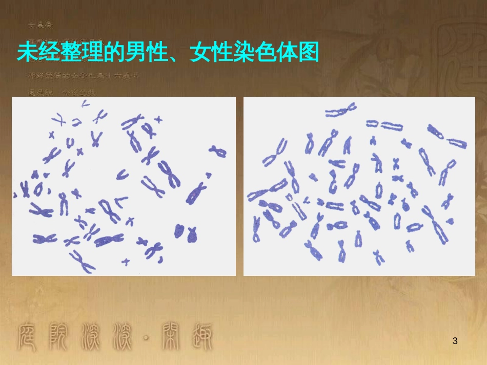 八年级政治下册 第一单元 权利义务伴我行 第二课 我们应尽的义务 第2框 忠实履行义务课件 新人教版 (2)_第3页