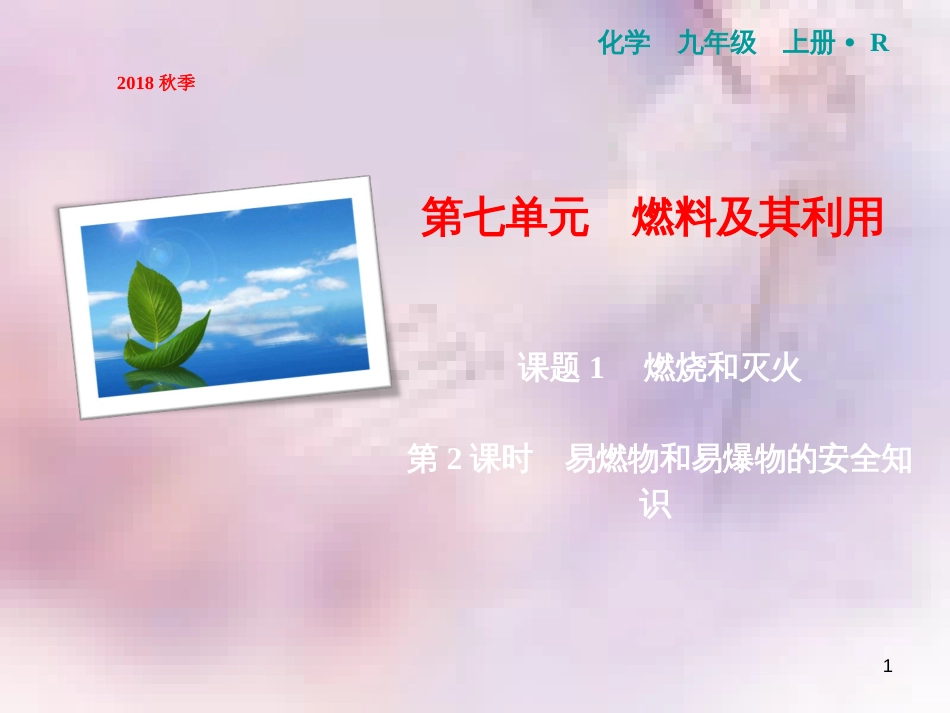 九年级化学上册 第7单元 燃料及其利用 课题1 燃烧和灭火 第2课时 易燃物和易爆物的安全知识作业课件 (新版)新人教版_第1页