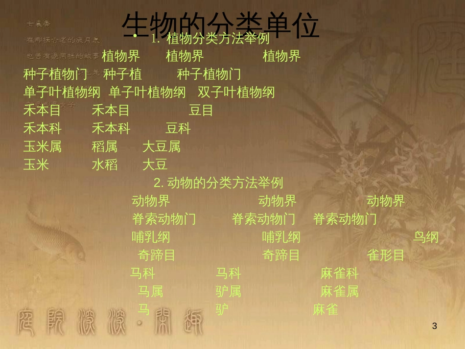 七年级生物下册 第五单元 第14章 生物的命名和分类 第2节 生物检索表课件1 （新版）苏科版_第3页