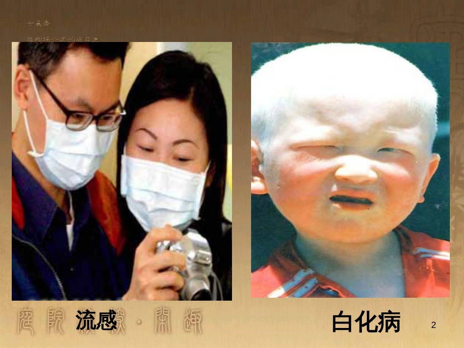 高中生物 专题2 细胞工程 2.2 动物细胞工程 动物细胞融合与单克隆抗体（第2课时）课件 新人教版选修3 (7)_第2页