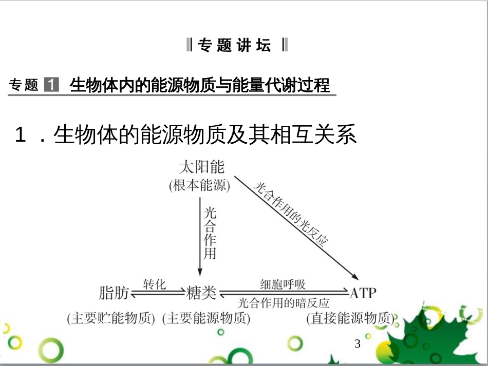 九年级历史上册 总复习课件 北师大版 (24)_第3页